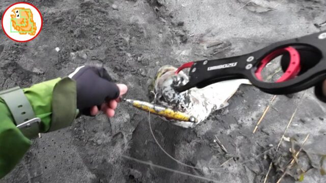 8割バレない"かっ飛び棒"フックセッティング！シーバス・青物・ヒラメで検証済み！【レジェンド直伝】 #サーフ #フックセッティング