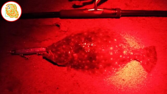 8割バレない"かっ飛び棒"フックセッティング！シーバス・青物・ヒラメで検証済み！【レジェンド直伝】 #サーフ #フックセッティング