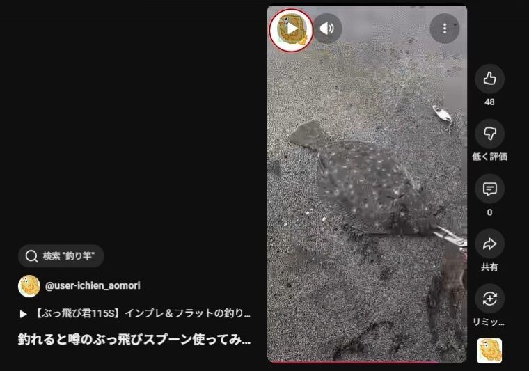 釣れると噂の『ぶっ飛びスプーン』使ってみた！【チャートバックパール】ヒラメ釣れました！