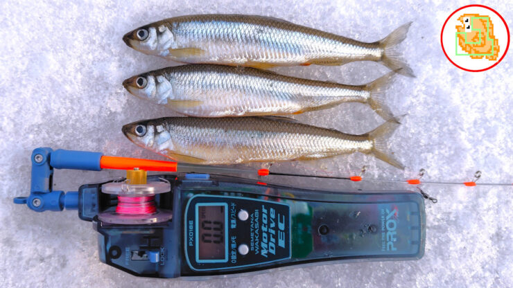 ワカサギ　プロックス　モータードライブEC