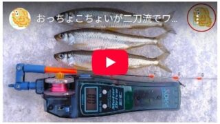 おっちょこちょいが二刀流でワカサギ釣りをするとこうなります！【姉沼】