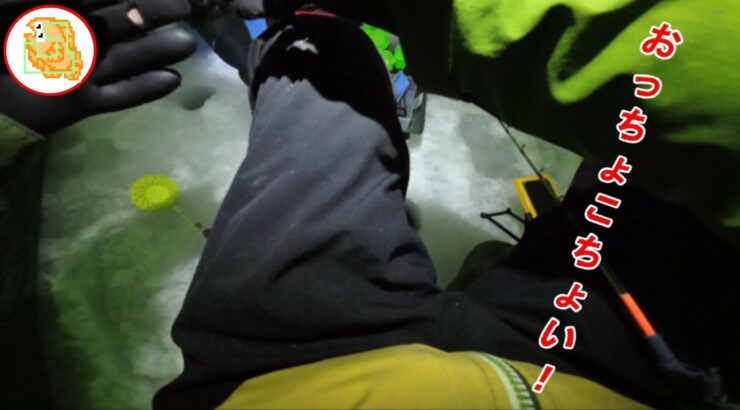 今年のワカサギ、デカない？ 12cm UP！【姉沼】