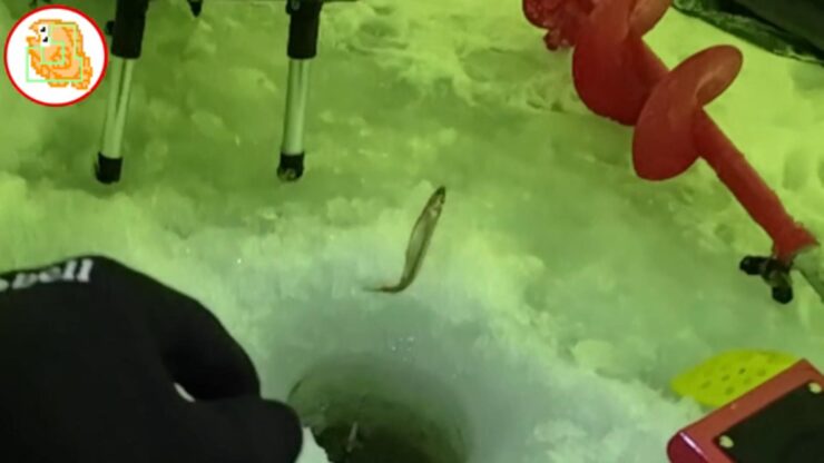 【ワカサギ釣り】おっちょこちょいが二刀流で釣りした末路…【姉沼】