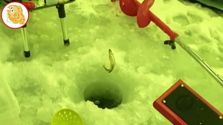 【ワカサギ釣り】おっちょこちょいが二刀流で釣りした末路…【姉沼】