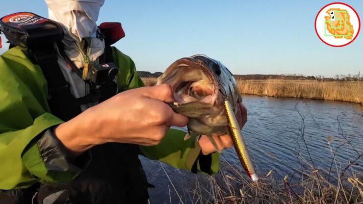 雪解け川に入水したことありますか？冷たすぎて草【バス釣り】
