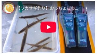 【ワカサギ釣り】おっちょこちょいが二刀流でリベンジ！【姉沼】