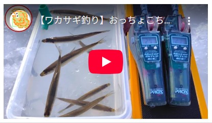 【ワカサギ釣り】おっちょこちょいが二刀流でリベンジ！【姉沼】