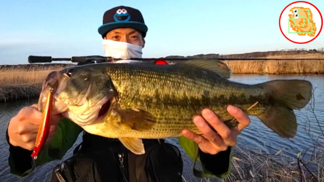 雪解け川に入水したことありますか？冷たすぎて草【バス釣り】