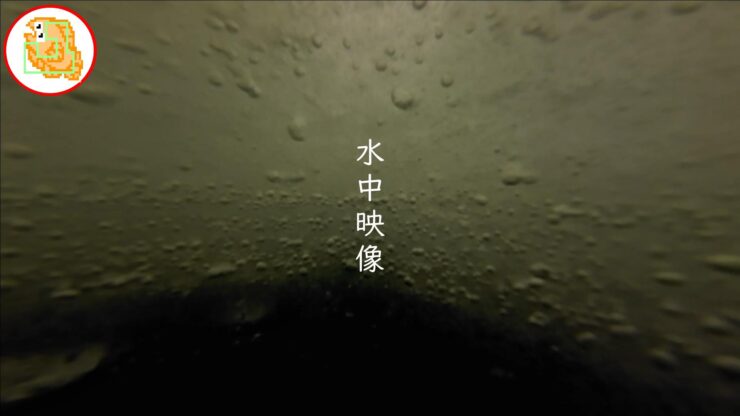 【ワカサギ釣り】おっちょこちょいが二刀流でリベンジしてきました！【姉沼】