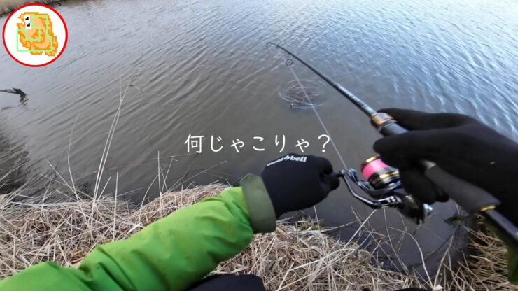 雪解け川に入水したことありますか？冷たすぎて草【バス釣り】