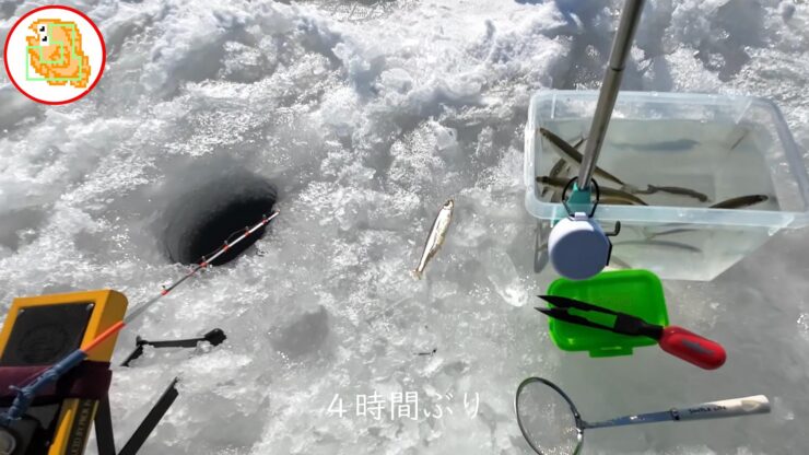 【ワカサギ釣り】おっちょこちょいが二刀流でリベンジしてきました！【姉沼】