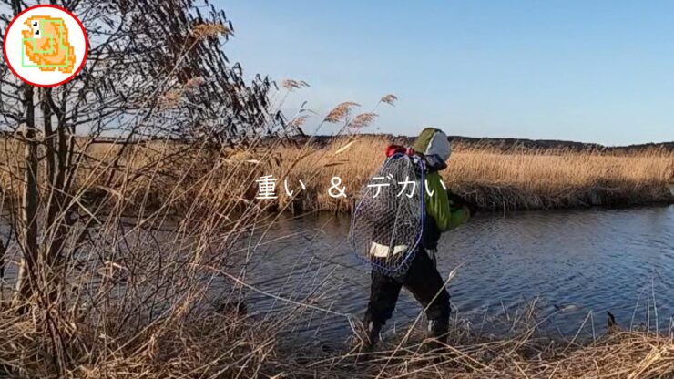 雪解け川に入水したことありますか？冷たすぎて草【バス釣り】