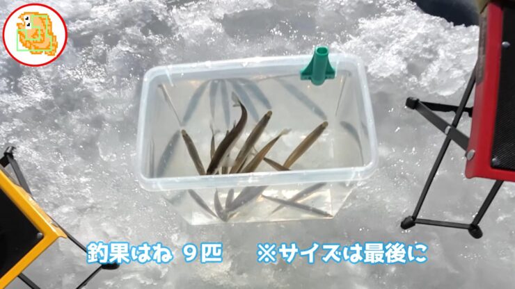 【ワカサギ釣り】おっちょこちょいが二刀流でリベンジしてきました！【姉沼】