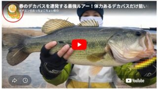 春のデカバスを連発する最強ルアー！体力あるデカバスだけ狙い打ち！おすすめです！