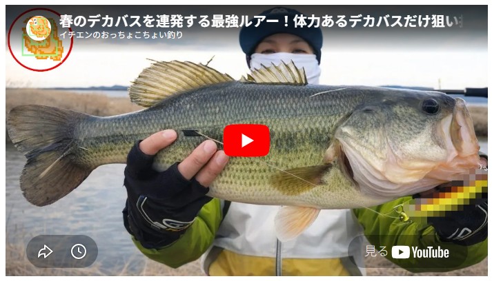 春のデカバスを連発する最強ルアー！体力あるデカバスだけ狙い打ち！おすすめです！