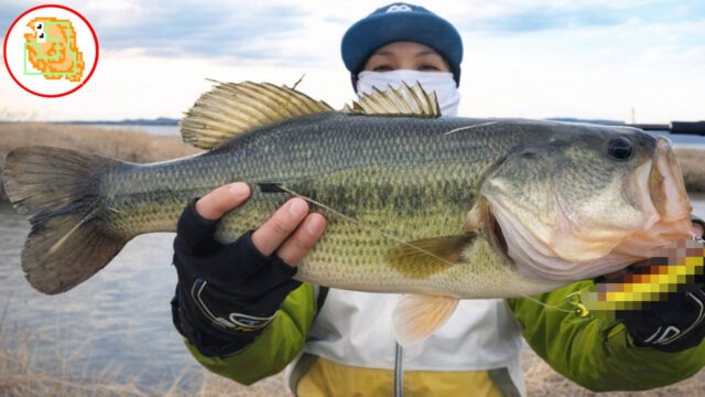 春のデカバスを連発する最強ルアー！体力あるデカバスだけ狙い打ち！おすすめです！
