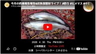 2026年4月の釣果報告報告&初魚探開封ライブ！