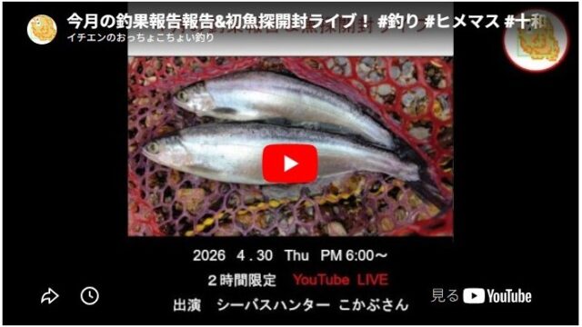2026年4月の釣果報告報告&初魚探開封ライブ！