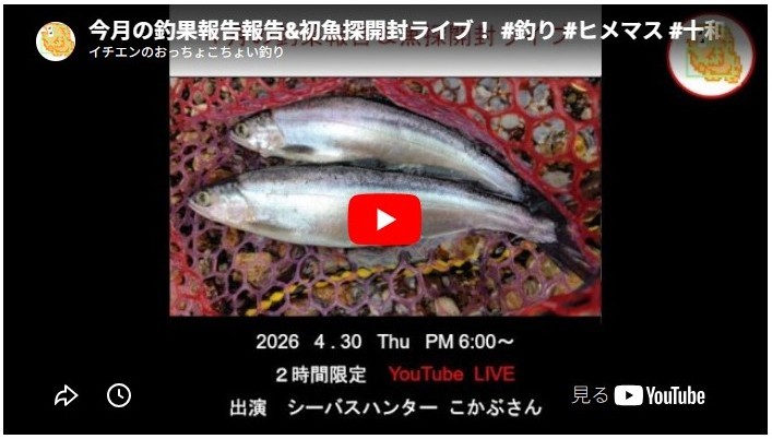 2026年4月の釣果報告報告&初魚探開封ライブ！