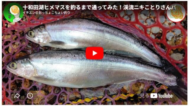 十和田湖ヒメマスを釣るまで通ってみた！渓流ニキことりさんパターン攻略！キリストの墓とピラミッドにも行ってきたよ！