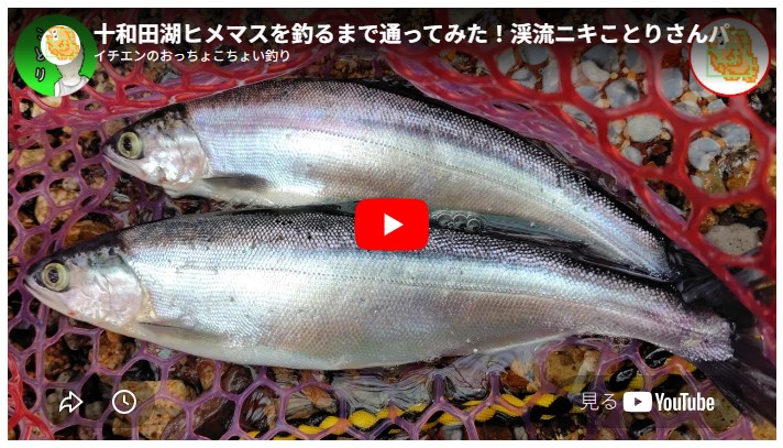 十和田湖ヒメマスを釣るまで通ってみた！渓流ニキことりさんパターン攻略！キリストの墓とピラミッドにも行ってきたよ！