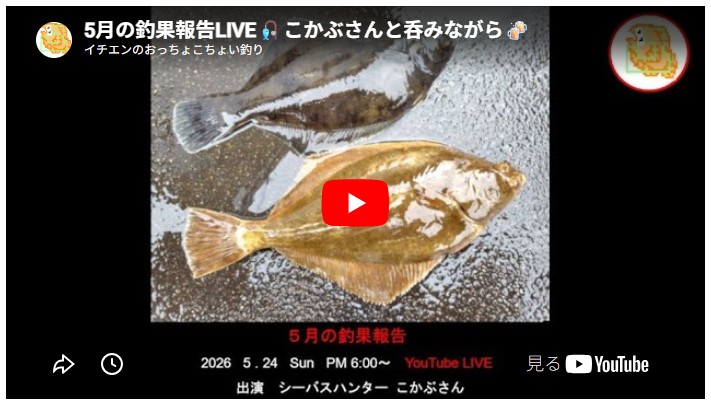2026年5月の釣果報告LIVE こかぶさんと呑みながら