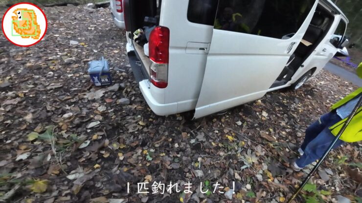 十和田湖 ヒメマス 釣り
