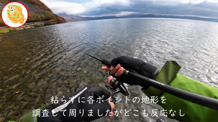 十和田湖 ヒメマス 釣り