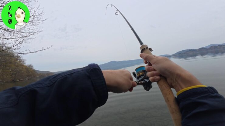 十和田湖 ヒメマス 釣り