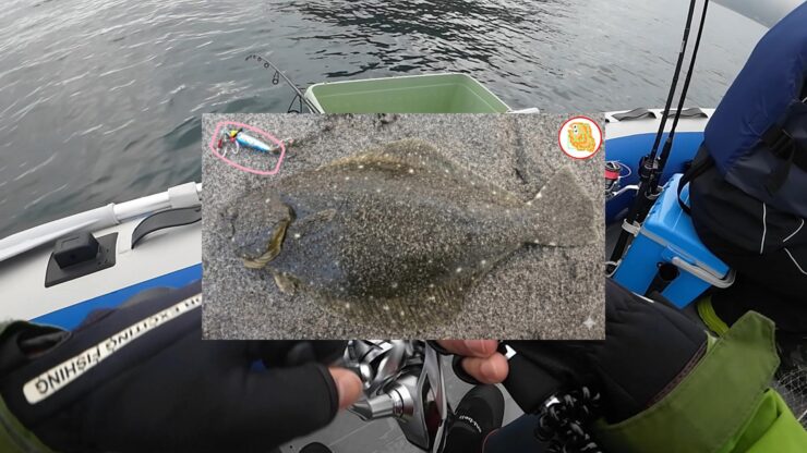 最悪な状況です…それでもタイと根魚釣ったりました！流石TGベイト！マジでエサですｗ 【陸奥湾ジギング】