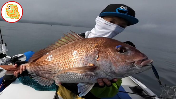 最悪な状況です…それでもタイと根魚釣ったりました！流石TGベイト！マジでエサですｗ 【陸奥湾ジギング】