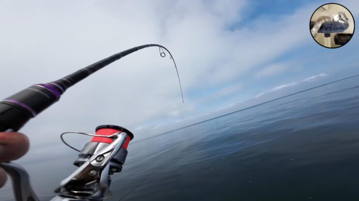 最悪な状況です…それでもタイと根魚釣ったりました！流石TGベイト！マジでエサですｗ 【陸奥湾ジギング】