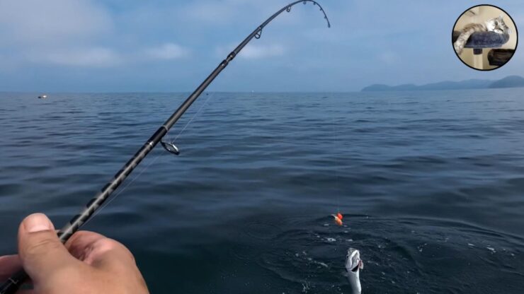 最悪な状況です…それでもタイと根魚釣ったりました！流石TGベイト！マジでエサですｗ 【陸奥湾ジギング】