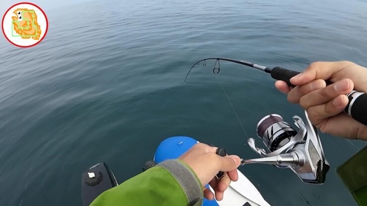 最悪な状況です…それでもタイと根魚釣ったりました！流石TGベイト！マジでエサですｗ 【陸奥湾ジギング】