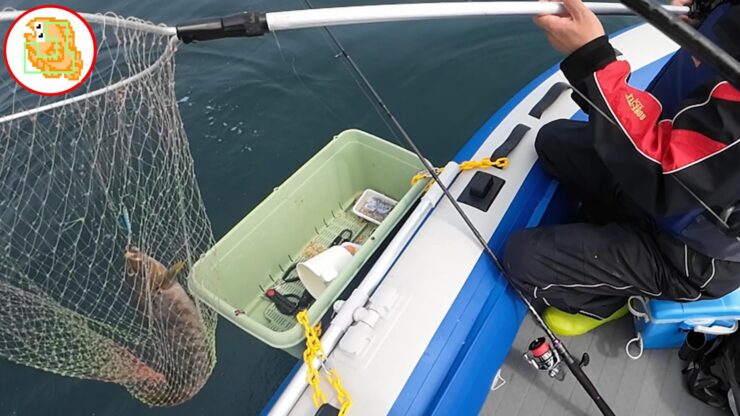 最悪な状況です…それでもタイと根魚釣ったりました！流石TGベイト！マジでエサですｗ 【陸奥湾ジギング】