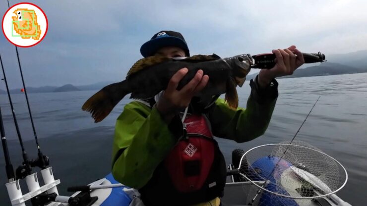 最悪な状況です…それでもタイと根魚釣ったりました！流石TGベイト！マジでエサですｗ 【陸奥湾ジギング】