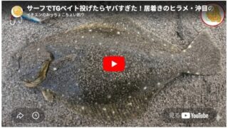 サーフでTGベイト投げたらヤバすぎた！居着きのヒラメ・沖目の青物釣れちゃいました！ショアでも全然釣れるですねｗ
