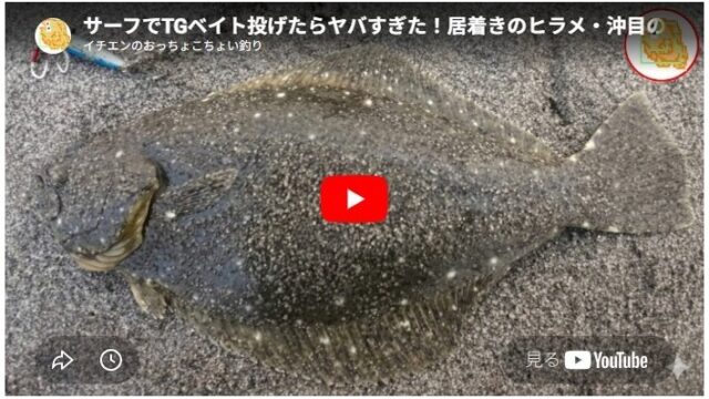 サーフでTGベイト投げたらヤバすぎた！居着きのヒラメ・沖目の青物釣れちゃいました！ショアでも全然釣れるですねｗ