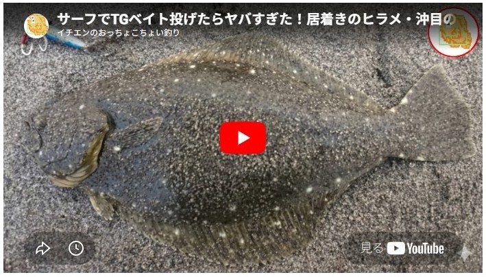 サーフでTGベイト投げたらヤバすぎた！居着きのヒラメ・沖目の青物釣れちゃいました！ショアでも全然釣れるですねｗ
