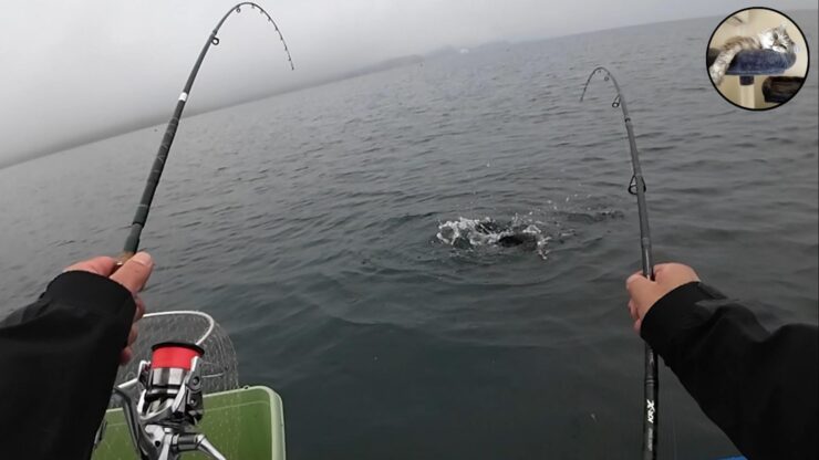 陸奥湾 オフショア ボート釣り タイ釣り