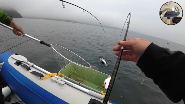 【パニック!】3本の竿に全部かかってテンテコ舞いw【陸奥湾】