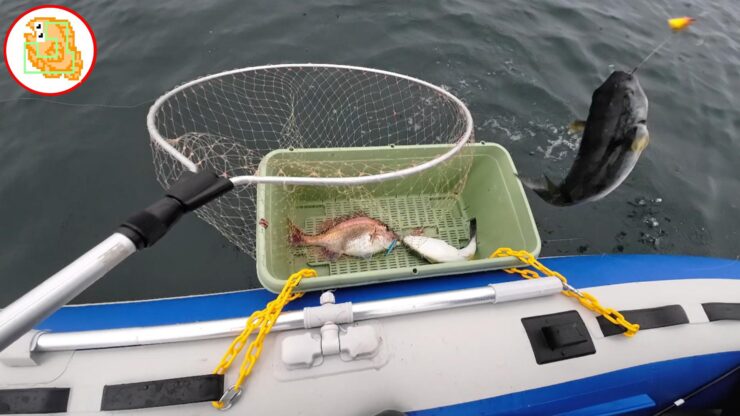 【パニック!】3本の竿に全部かかってテンテコ舞いw【陸奥湾】