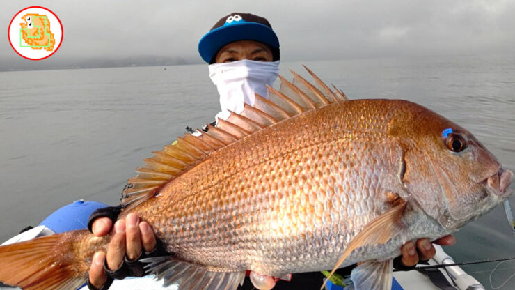【オフショア】おすすめのライトジギングタックル!真鯛・シーバス・青物・根魚釣れました!