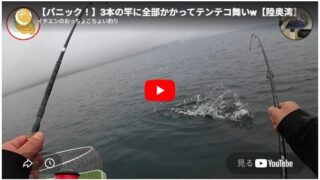 【パニック！】3本の竿に全部かかってテンテコ舞いw【陸奥湾】