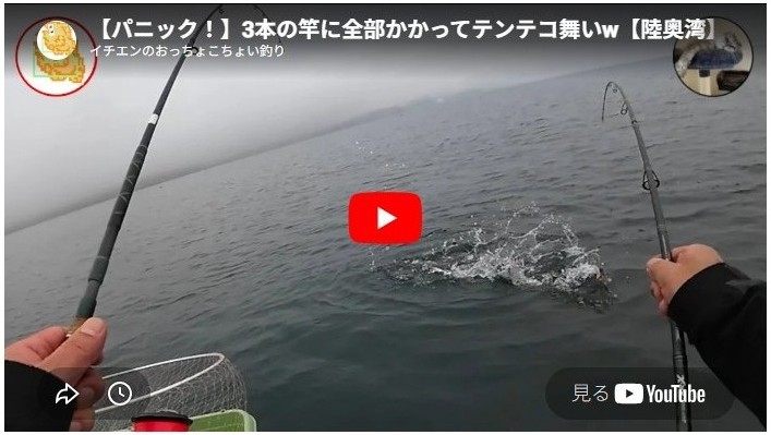 【パニック!】3本の竿に全部かかってテンテコ舞いw【陸奥湾】