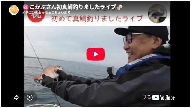 こかぶさん初めて真鯛釣りました祝賀会ライブ 陸奥湾