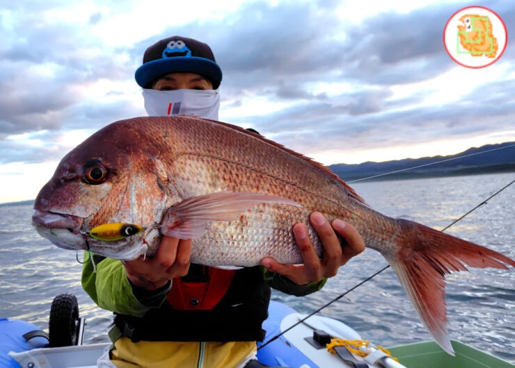 【オフショア】おすすめのライトジギングタックル！この1本で真鯛・ランカーシーバス・青物・根魚釣りました！
