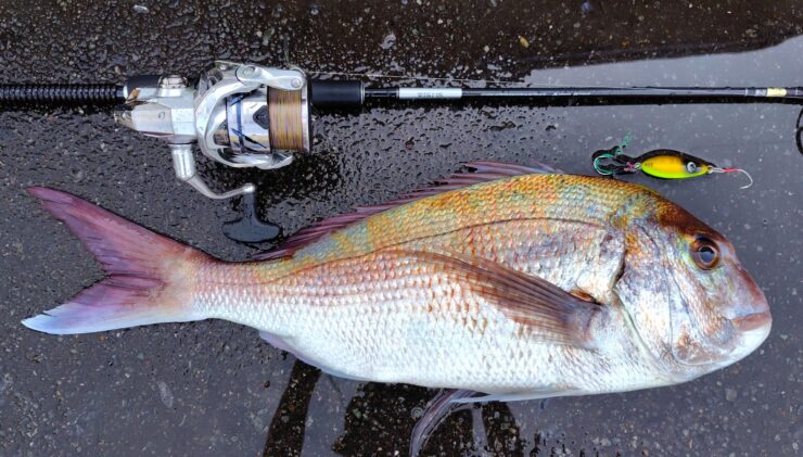 【オフショア】おすすめのライトジギングタックル！この1本で真鯛・ランカーシーバス・青物・根魚釣りました！