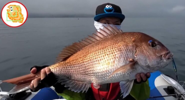 【オフショア】おすすめのライトジギングタックル！この1本で真鯛・ランカーシーバス・青物・根魚釣りました！