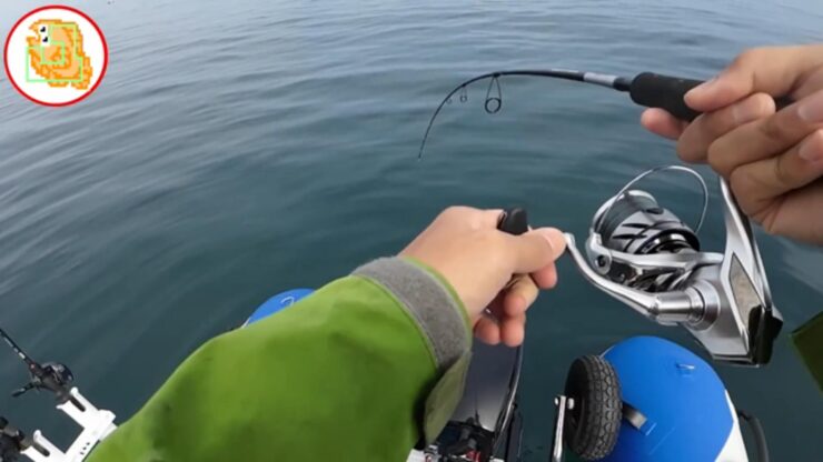 【オフショア】おすすめのライトジギングタックル！この1本で真鯛・ランカーシーバス・青物・根魚釣りました！